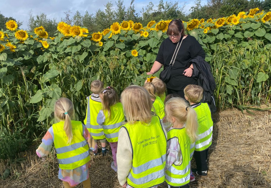 Children in high-vis vests walking through a sunflower field