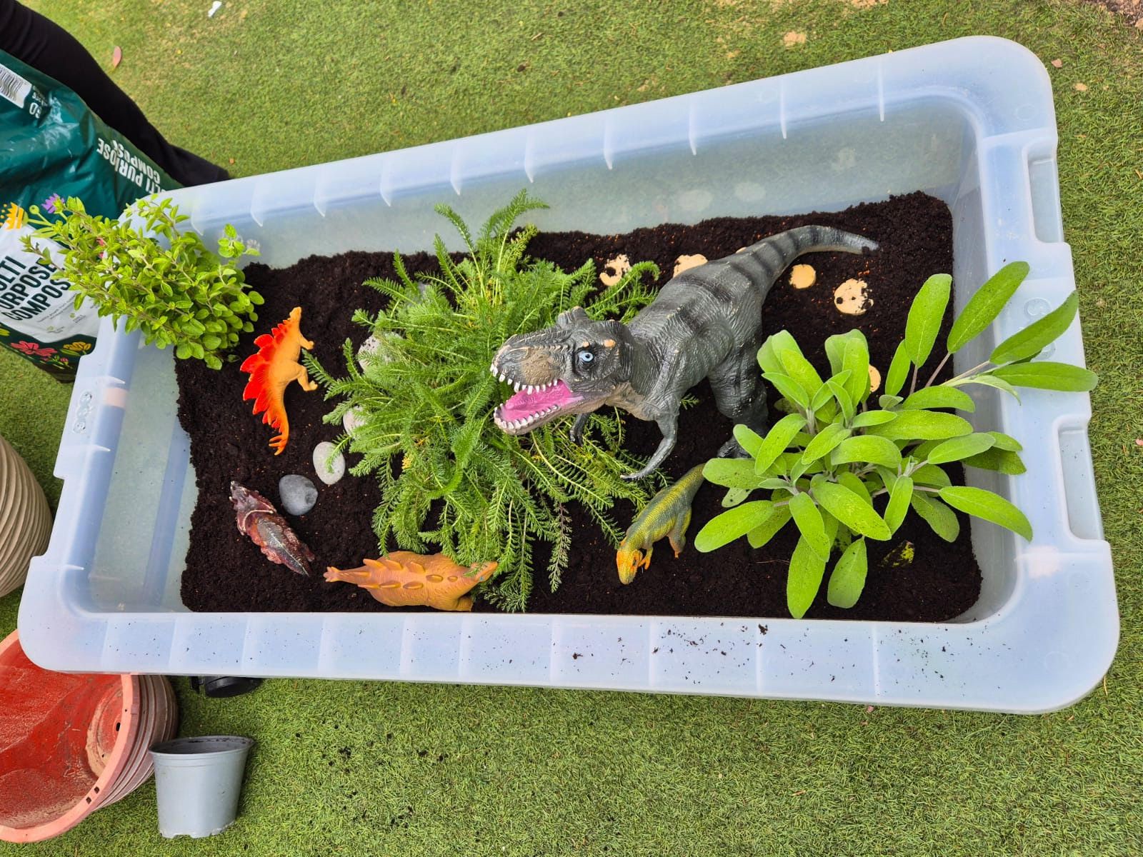 Small world dinosaur tray planted with real greenery